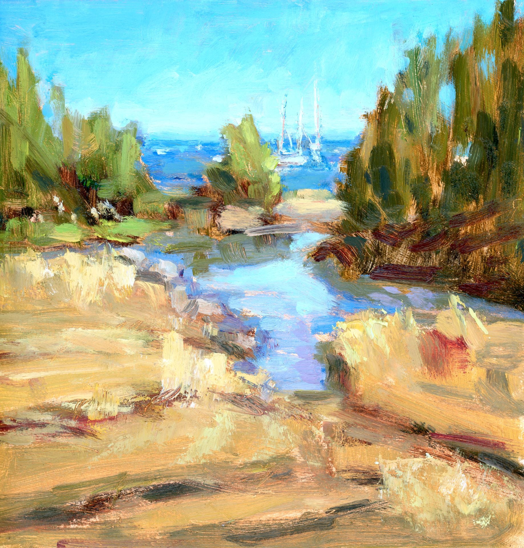 Sail Beyond The Cove