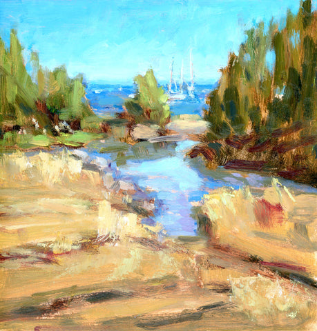 Sail Beyond The Cove