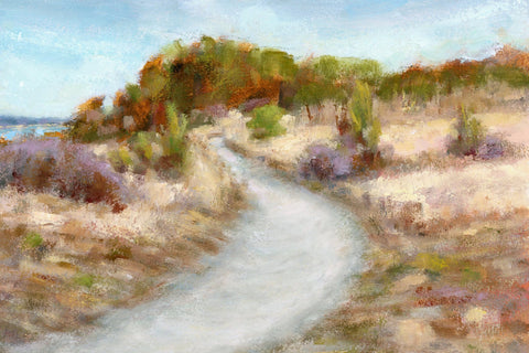 Sandy Beach Path