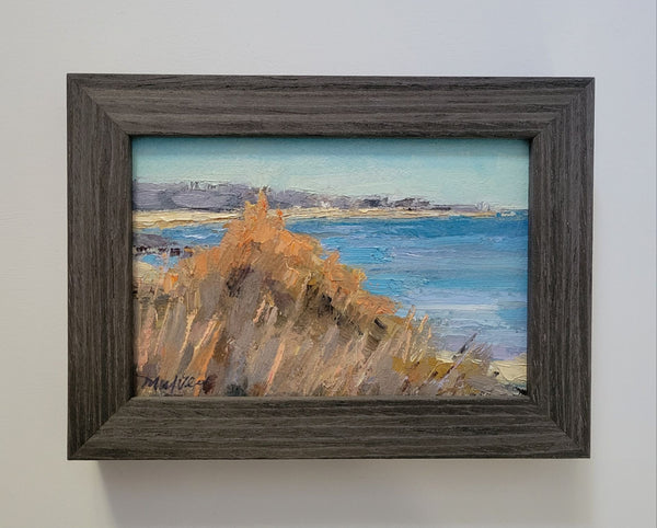 Orange Tips and Ocean Strips