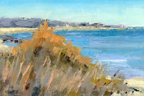 Orange Tips and Ocean Strips